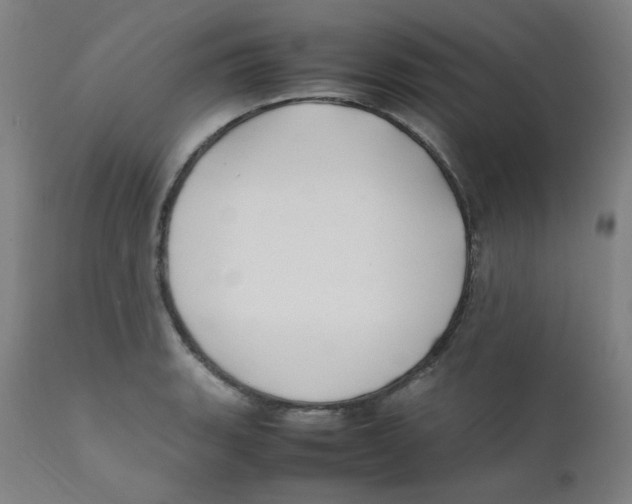 X0000112211135200909041334
