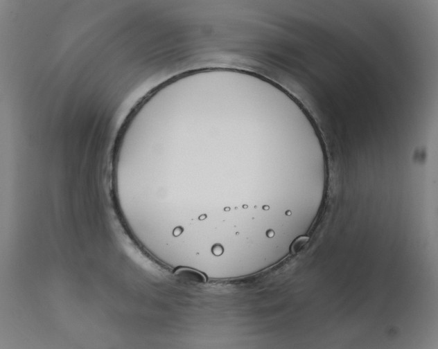 X0000112211136200909041334