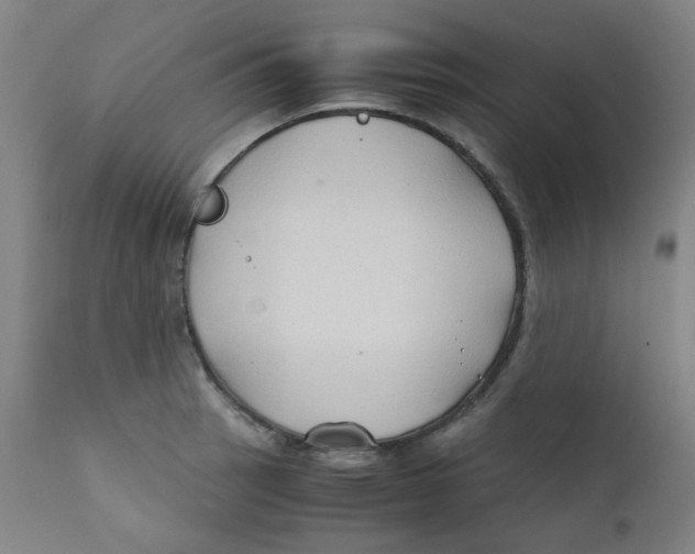 X0000112211137200909041334