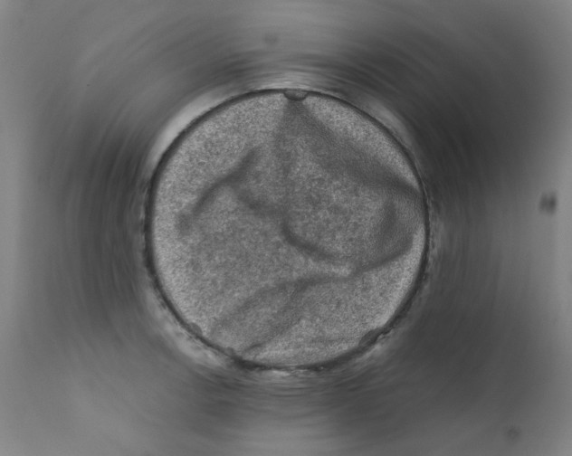 X0000112211138200909041334