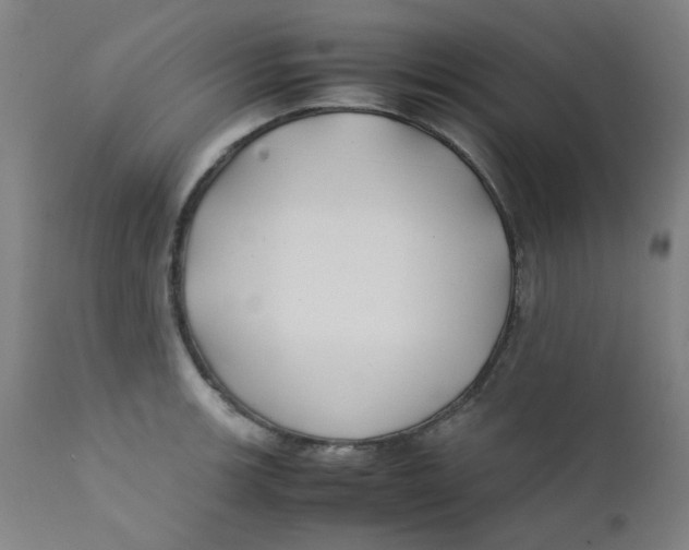 X0000112211139200909041335