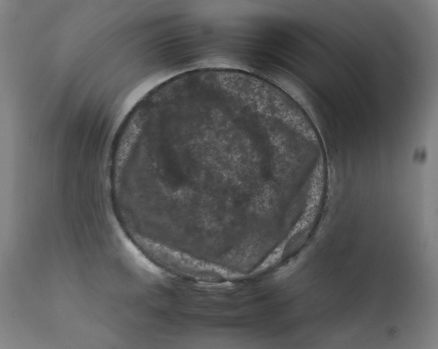 X0000112211141200909041335