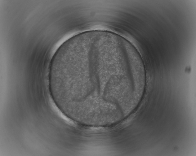 X0000112211142200909041335