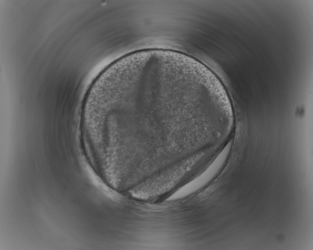 X0000112211144200909041335