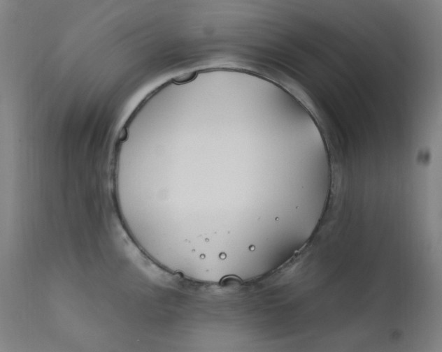 X0000112211148200909041335