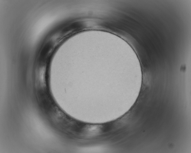 X0000112211150200909041335