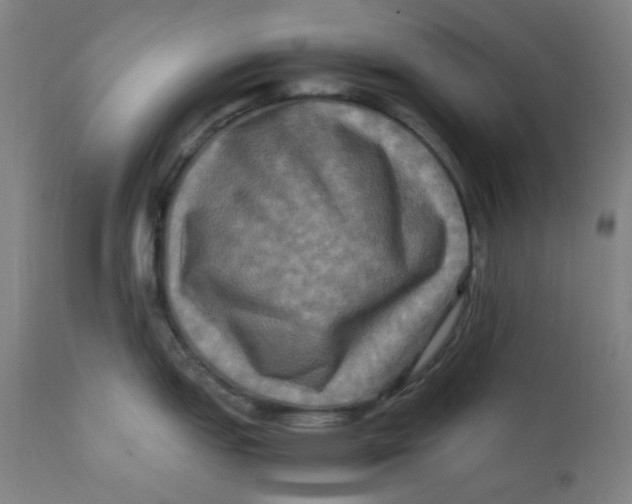 X0000112211151200909041335
