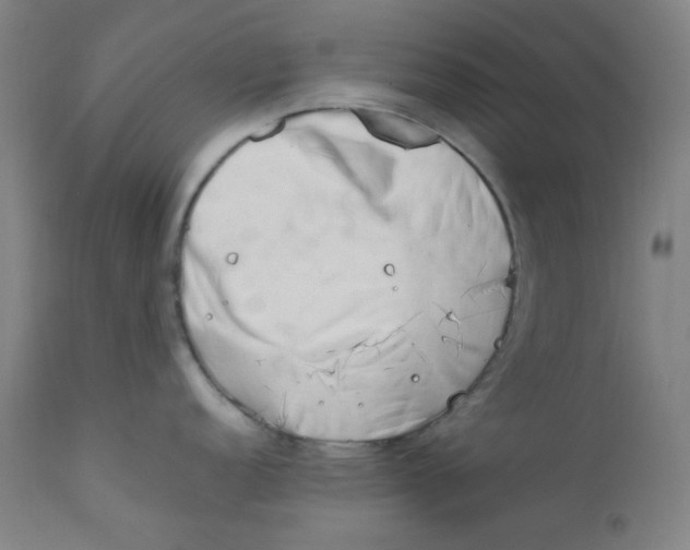 X0000112211152200909041335
