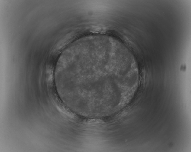 X0000112211154200909041334