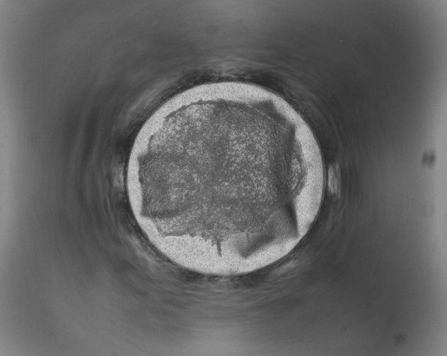 X0000112211155200909041334
