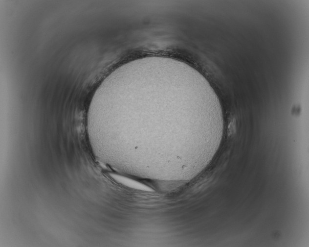 X0000112211156200909041334