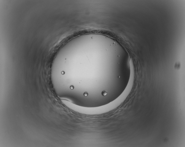 X0000112211157200909041334