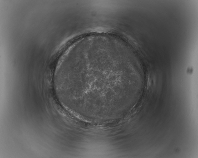X0000112211158200909041334