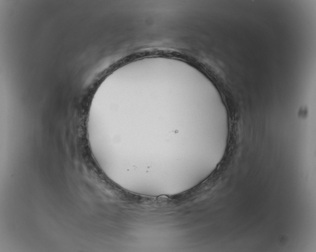 X0000112211159200909041334