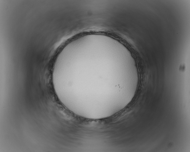 X0000112211160200909041334