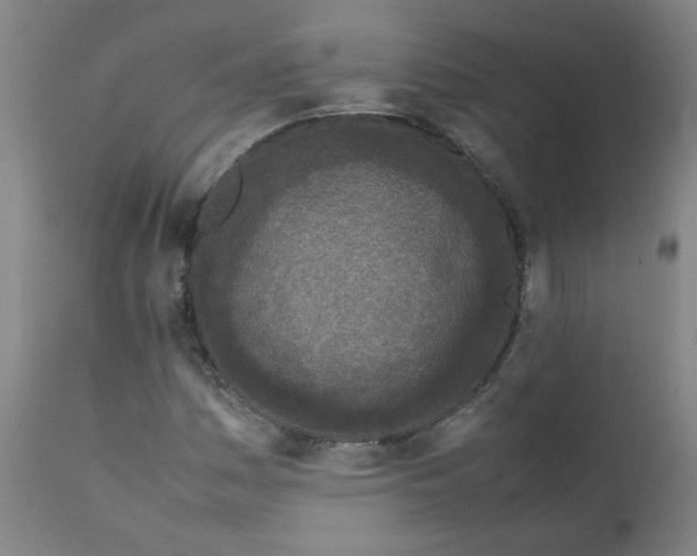 X0000112211161200909041334