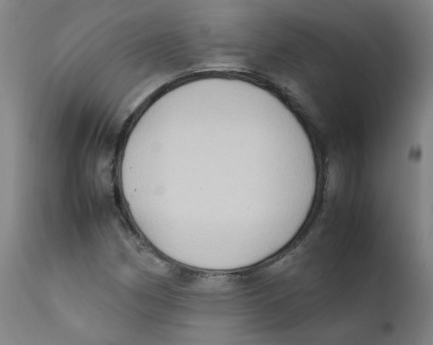 X0000112211162200909041334