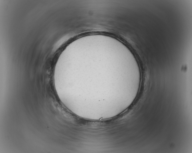 X0000112211163200909041334