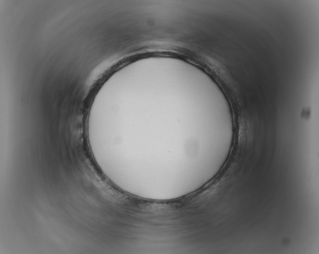 X0000112211164200909041334