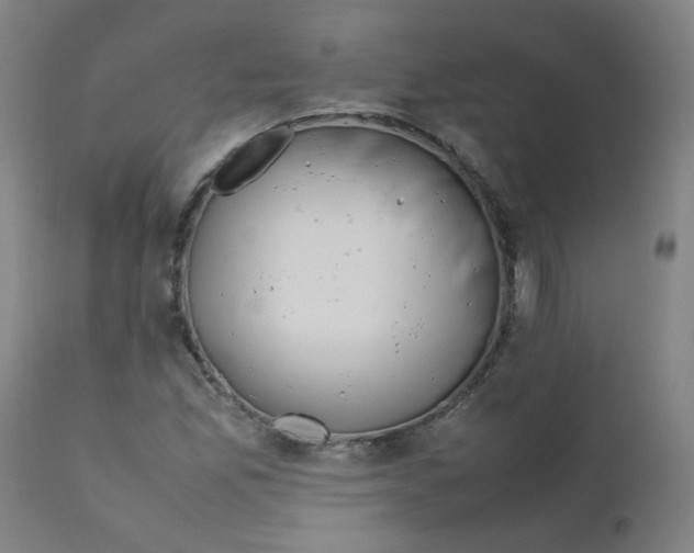 X0000112211165200909041334