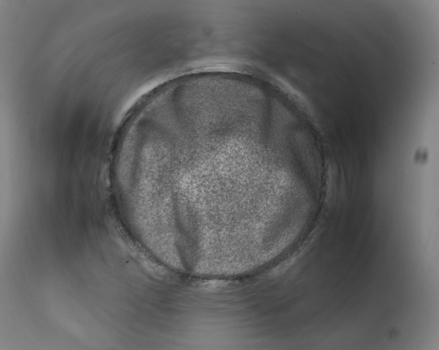 X0000112211166200909041334