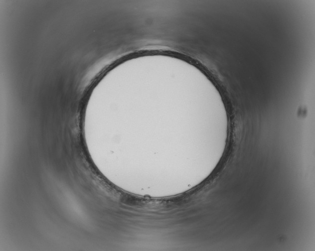 X0000112211167200909041334