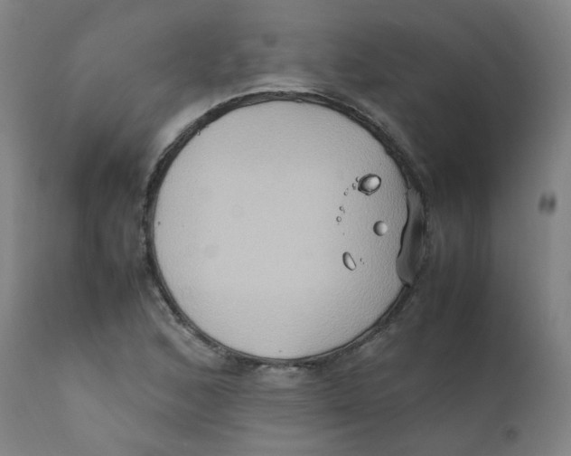 X0000112211168200909041334