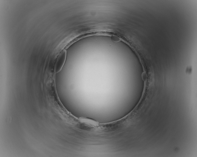 X0000112211169200909041334
