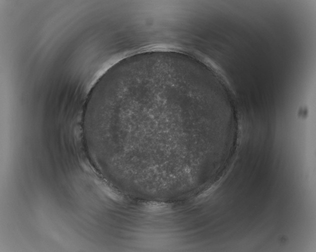 X0000112211170200909041334