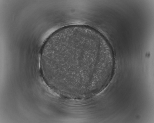 X0000112211171200909041334