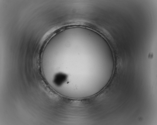 X0000112211172200909041334