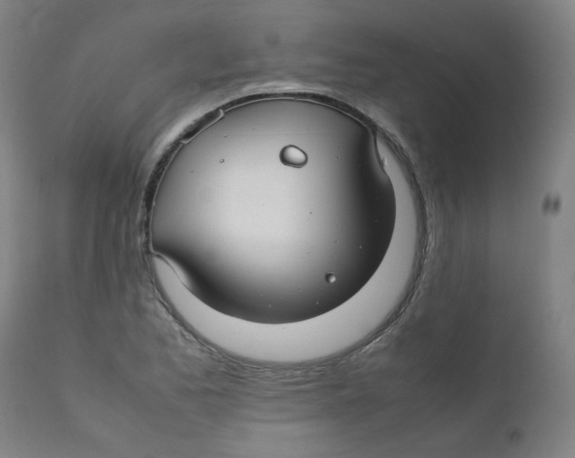 X0000112211173200909041334