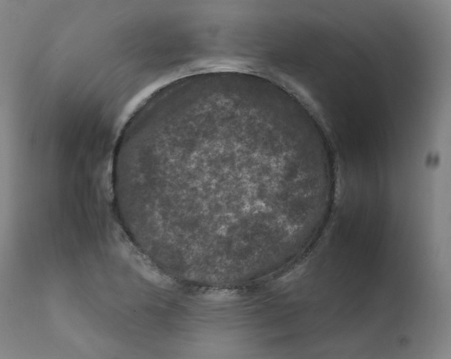 X0000112211174200909041334