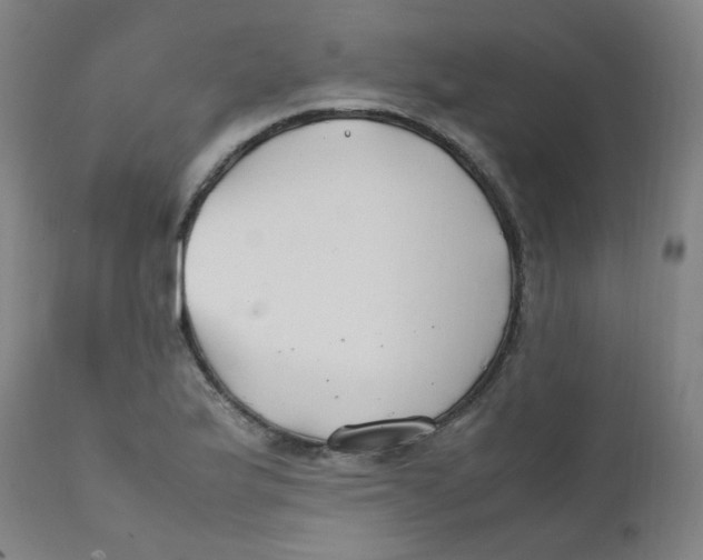 X0000112211175200909041334