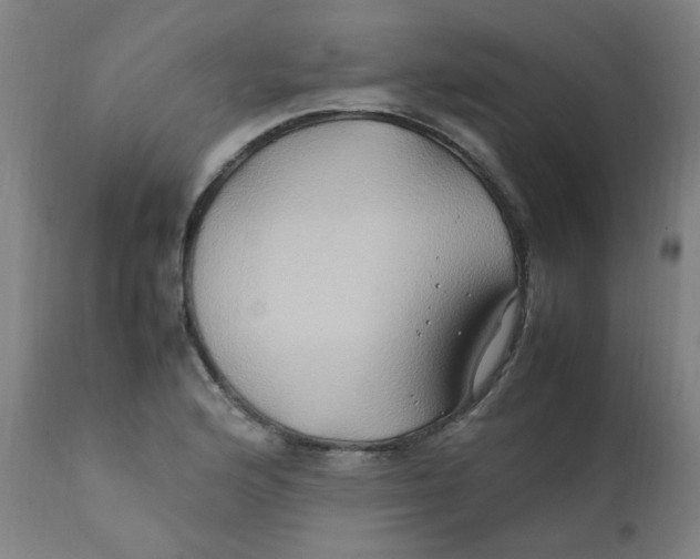 X0000112211176200909041334
