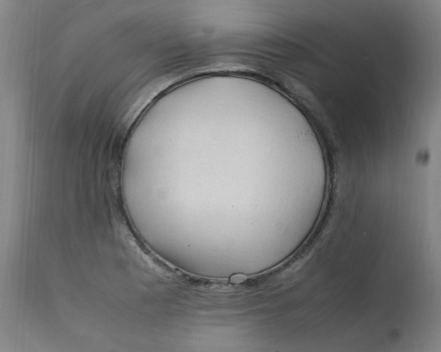 X0000112211177200909041334