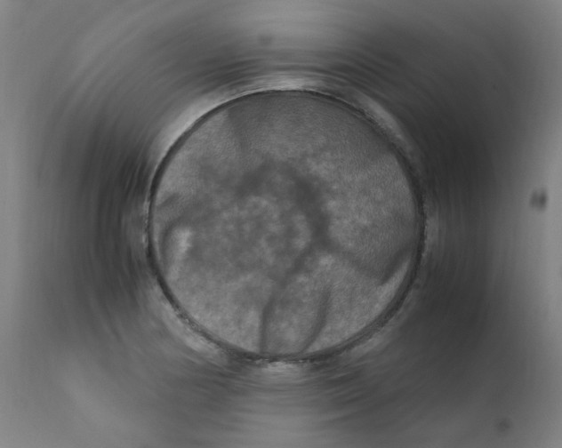 X0000112211178200909041334
