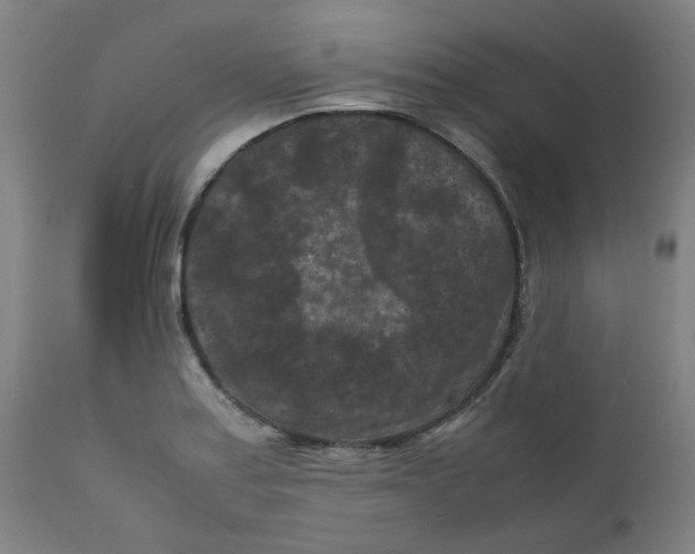 X0000112211179200909041334