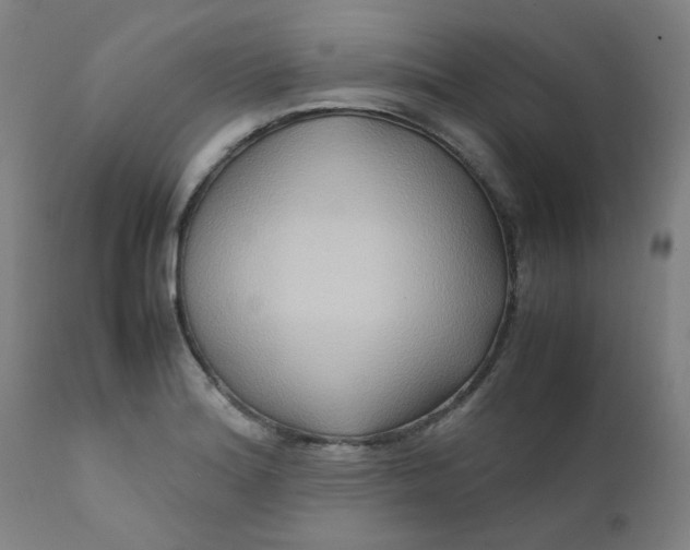 X0000112211180200909041334
