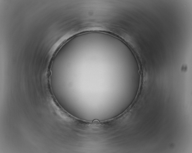 X0000112211181200909041334