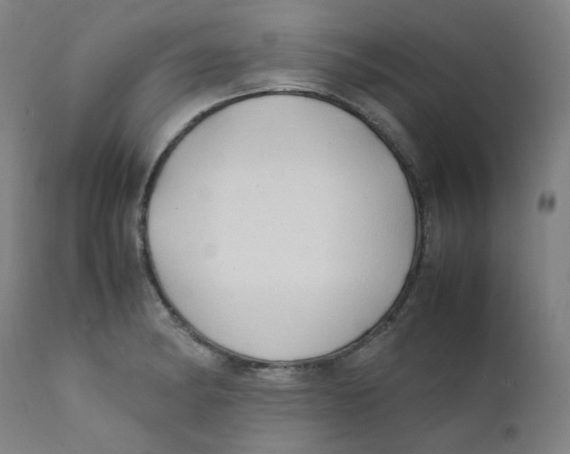 X0000112211182200909041334