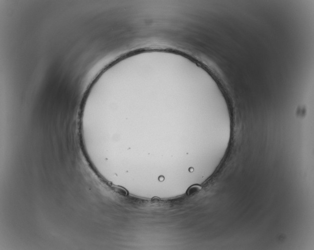 X0000112211183200909041334