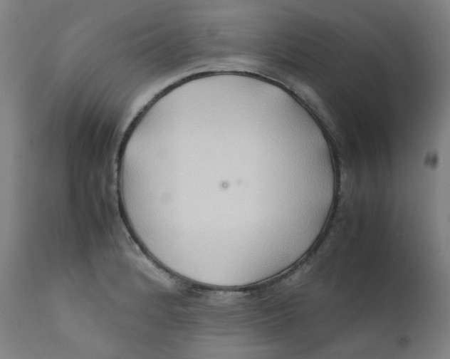 X0000112211184200909041334