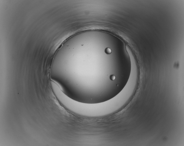 X0000112211185200909041334