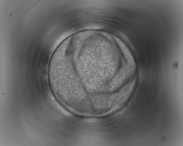 X0000112211186200909041334