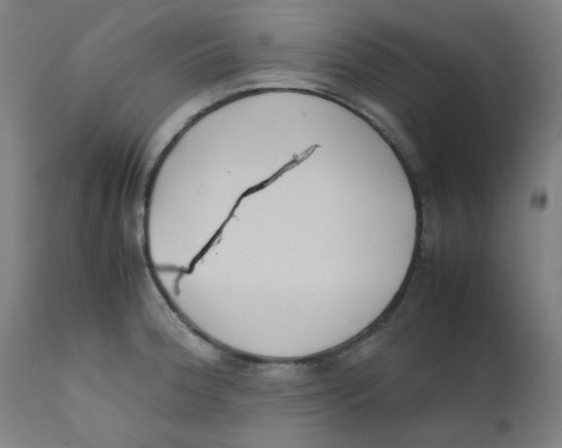 X0000112211188200909041334