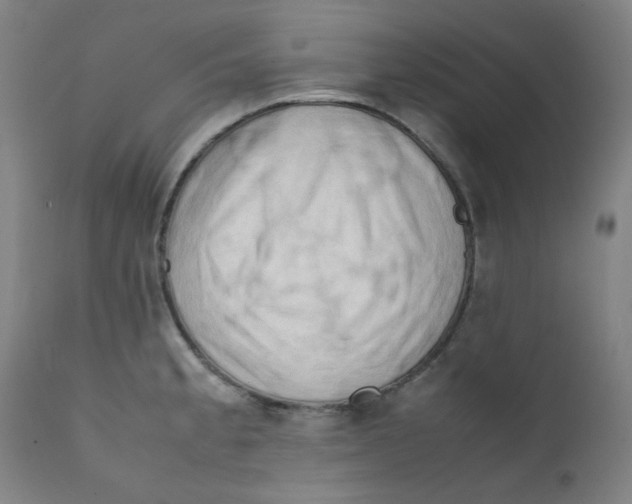 X0000112211189200909041334