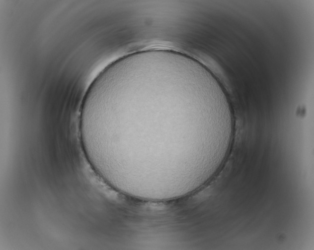 X0000112211190200909041334