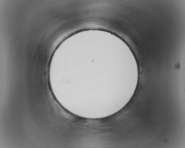 X0000112211191200909041334
