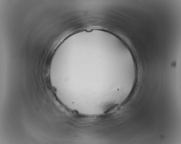 X0000112211193200909041333